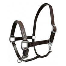 Load image into Gallery viewer, Heavy Duty Leather Halter