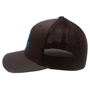 Brown & Teal Flexfit Hat